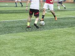 影猴之家,3377体育h5在线官网,3377体育官网,3377体育官网,3377体育网页版入口,3377体育h5在线官网,3377体育app下载