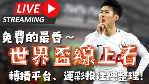 中国足球队世预赛遭遇澳大利亚队败北